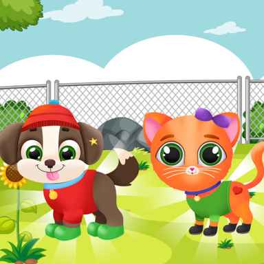 Our Platform Pets Beauty Salon Our Platform Pets Beauty Salon