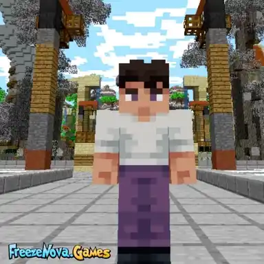 Our Platform Pixelmon Town